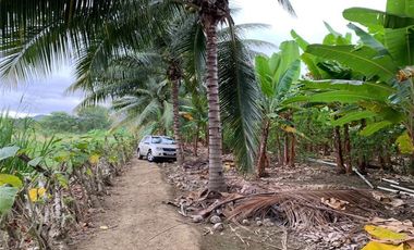 Finca de venta en Portoviejo sitio Sosote manabi