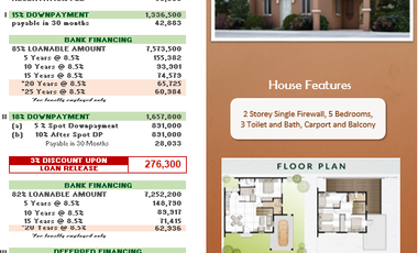 House and Lot for sale in Subic right beside Vista Mall Subic