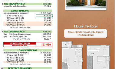 House and Lot for sale in Subic right beside Vista Mall Subic