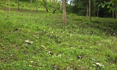 GDPTY - Finca41 de 5,005  m2 Financiada 100% SIN INTERES, ABONO Y REQUISITOS