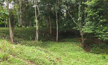 GDPTY - Finca41 de 5,005  m2 Financiada 100% SIN INTERES, ABONO Y REQUISITOS