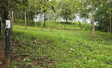 GDPTY - Finca41 de 5,005  m2 Financiada 100% SIN INTERES, ABONO Y REQUISITOS