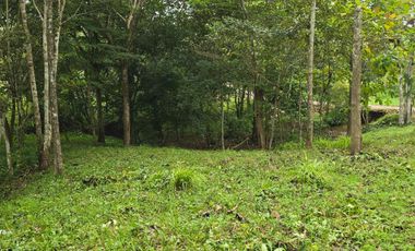 GDPTY - Finca41 de 5,005  m2 Financiada 100% SIN INTERES, ABONO Y REQUISITOS