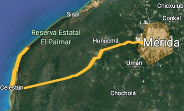 Playa Celestún