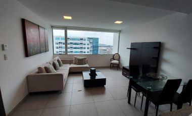Suite en el edificio Quo Luxury  en renta