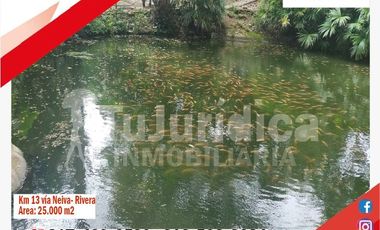 SE VENDE ESPECTACULAR FINCA - RIVERA (HUILA -COL)