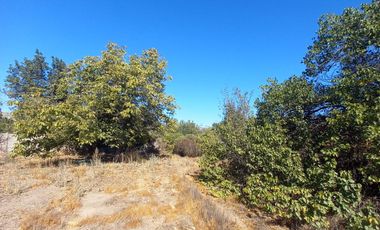 VENTA DE TERRENO URBANISADO, LOS ANDES, CALLE LAS LILLAS, 1.600MTRS, $180.000.000