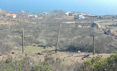 Parcela de Agrado en La Serena.