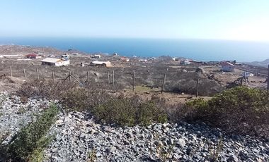 Parcela de Agrado en La Serena.