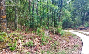 HERMOSO TERRENO EN LOS  BOSQUES DE OMITLAN ZONA LA CIENEGA