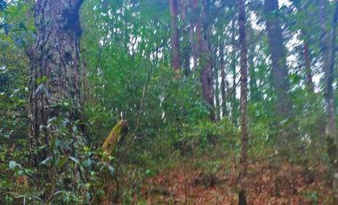 HERMOSO TERRENO EN LOS  BOSQUES DE OMITLAN ZONA LA CIENEGA