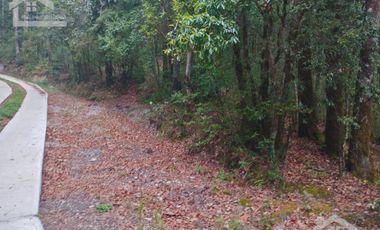 HERMOSO TERRENO EN LOS  BOSQUES DE OMITLAN ZONA LA CIENEGA