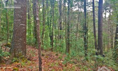 HERMOSO TERRENO EN LOS  BOSQUES DE OMITLAN ZONA LA CIENEGA