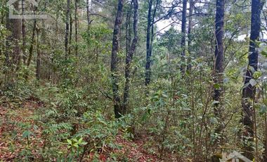 HERMOSO TERRENO EN LOS  BOSQUES DE OMITLAN ZONA LA CIENEGA