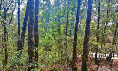 HERMOSO TERRENO EN LOS  BOSQUES DE OMITLAN ZONA LA CIENEGA