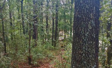 HERMOSO TERRENO EN LOS  BOSQUES DE OMITLAN ZONA LA CIENEGA
