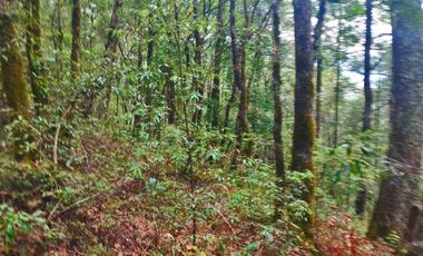 HERMOSO TERRENO EN LOS  BOSQUES DE OMITLAN ZONA LA CIENEGA