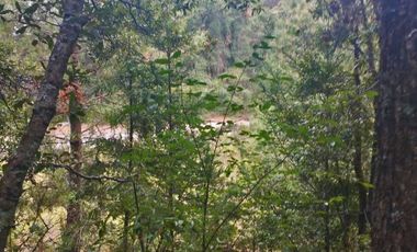 HERMOSO TERRENO EN LOS  BOSQUES DE OMITLAN ZONA LA CIENEGA