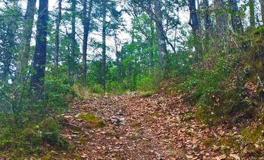 HERMOSO TERRENO EN LOS  BOSQUES DE OMITLAN ZONA LA CIENEGA