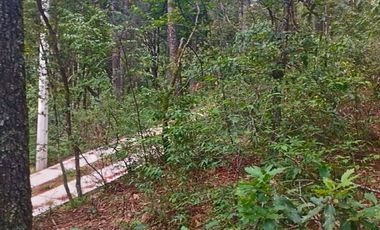 HERMOSO TERRENO EN LOS  BOSQUES DE OMITLAN ZONA LA CIENEGA