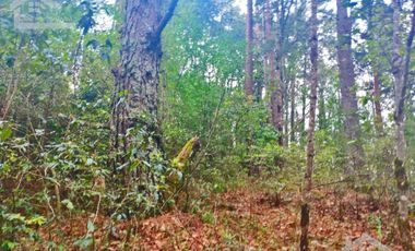 HERMOSO TERRENO EN LOS  BOSQUES DE OMITLAN ZONA LA CIENEGA