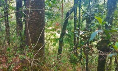HERMOSO TERRENO EN LOS  BOSQUES DE OMITLAN ZONA LA CIENEGA