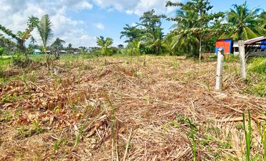 RUSH SALE Titled Farm Lot in Dumlog, Talisay Few Minutes to SRP