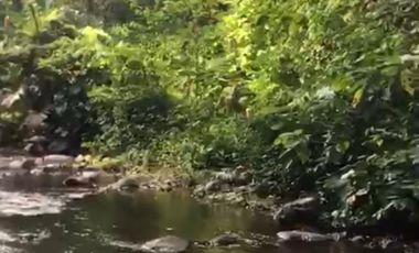 vendo hermosa hacienda a 15 m de Santo Domingo