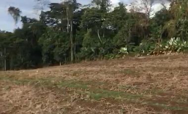 vendo hermosa hacienda a 15 m de Santo Domingo