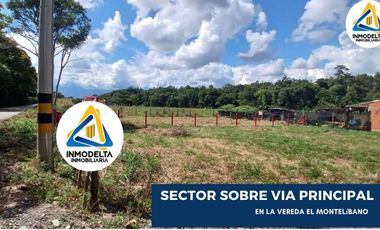 GRAN OFERTA, SE VENDE LOTE CAMPESTRE MONTELIBANO ACACIAS META