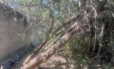 VENTA TERRENO RUSTICO TULA HIDALGO