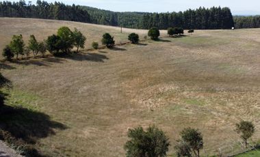 Campo en venta de 20 hectáreas en La Unión con hermosa vista
