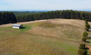 Campo en venta de 20 hectáreas en La Unión con hermosa vista