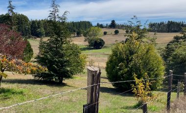 Campo en venta de 20 hectáreas en La Unión con hermosa vista
