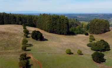 Campo en venta de 20 hectáreas en La Unión con hermosa vista