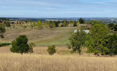 Campo en venta de 20 hectáreas en La Unión con hermosa vista