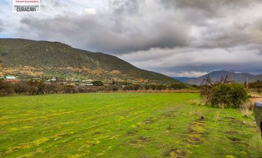 GRAN OPORTUNIDAD DE PARCELA PLANA EN CUYUNCAVI, CURACAVÍ. PARCELA 237