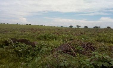 TEQUESQUITENGO CONSTRUCTORES ATENCION REMATO TERRENAZO 31.8 HECTAREAS