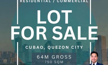 Lot for Sale in Cubao, Quezon City UL002