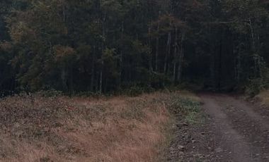 PARCELA  - RUTA SEPTIMA FAJA