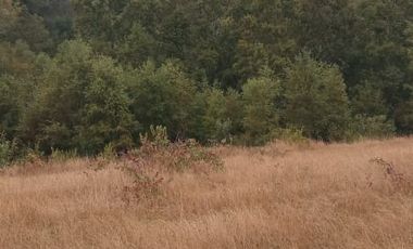 PARCELA  - RUTA SEPTIMA FAJA