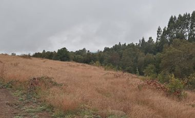 PARCELA  - RUTA SEPTIMA FAJA