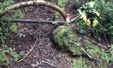 PARCELA  - RUTA SEPTIMA FAJA