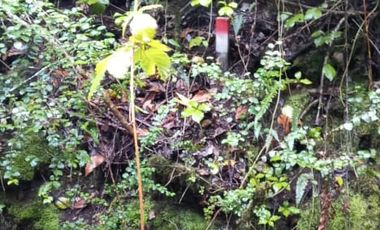 PARCELA  - RUTA SEPTIMA FAJA