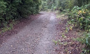 PARCELA  - RUTA SEPTIMA FAJA