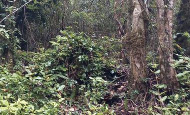 PARCELA  - RUTA SEPTIMA FAJA