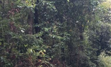 PARCELA  - RUTA SEPTIMA FAJA