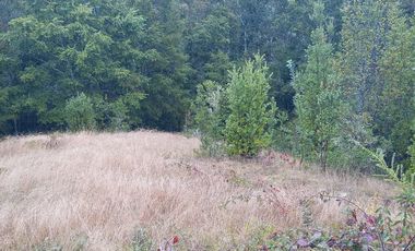 PARCELA  - RUTA SEPTIMA FAJA