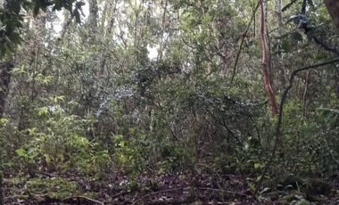 PARCELA  - RUTA SEPTIMA FAJA