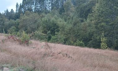 PARCELA  - RUTA SEPTIMA FAJA